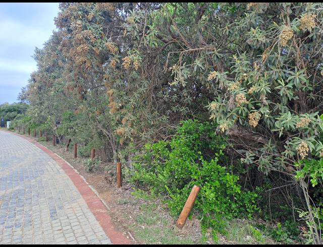 827M² VACANT LAND FOR SALE IN HEROLDS BAY